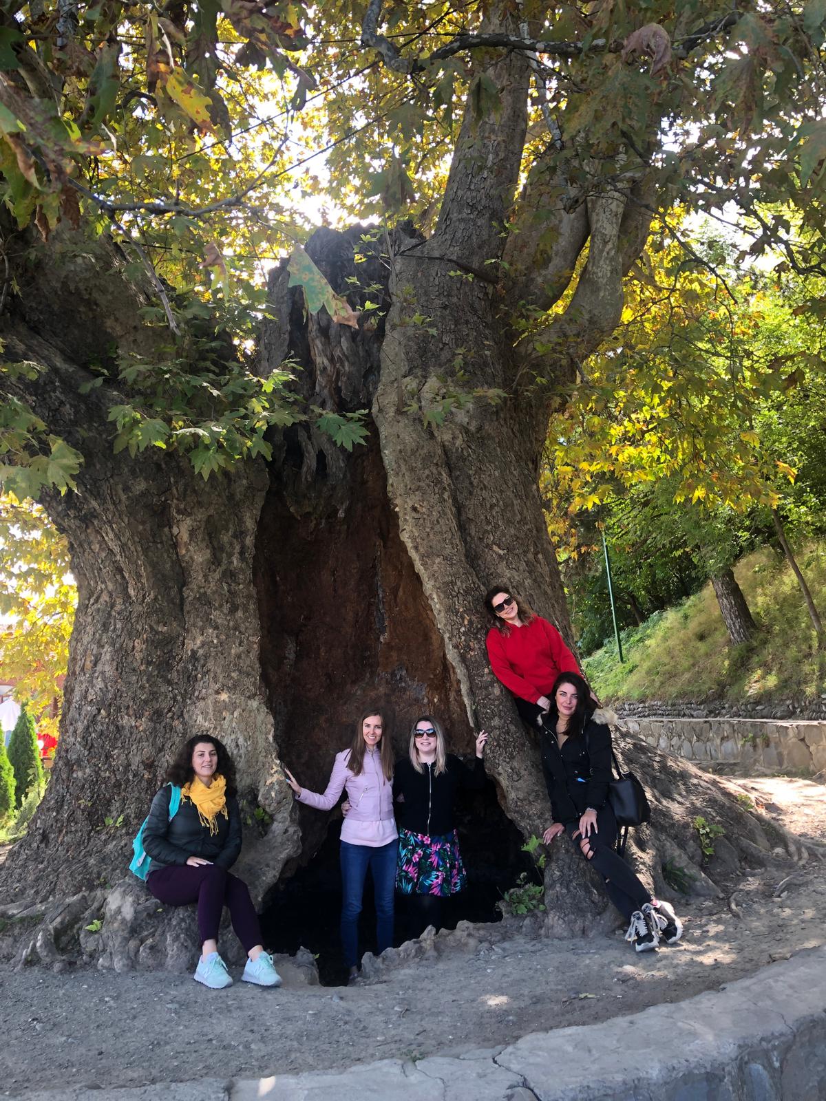 Ртвели  праздник урожая в Грузии. Осенний тематический тур (42/100)