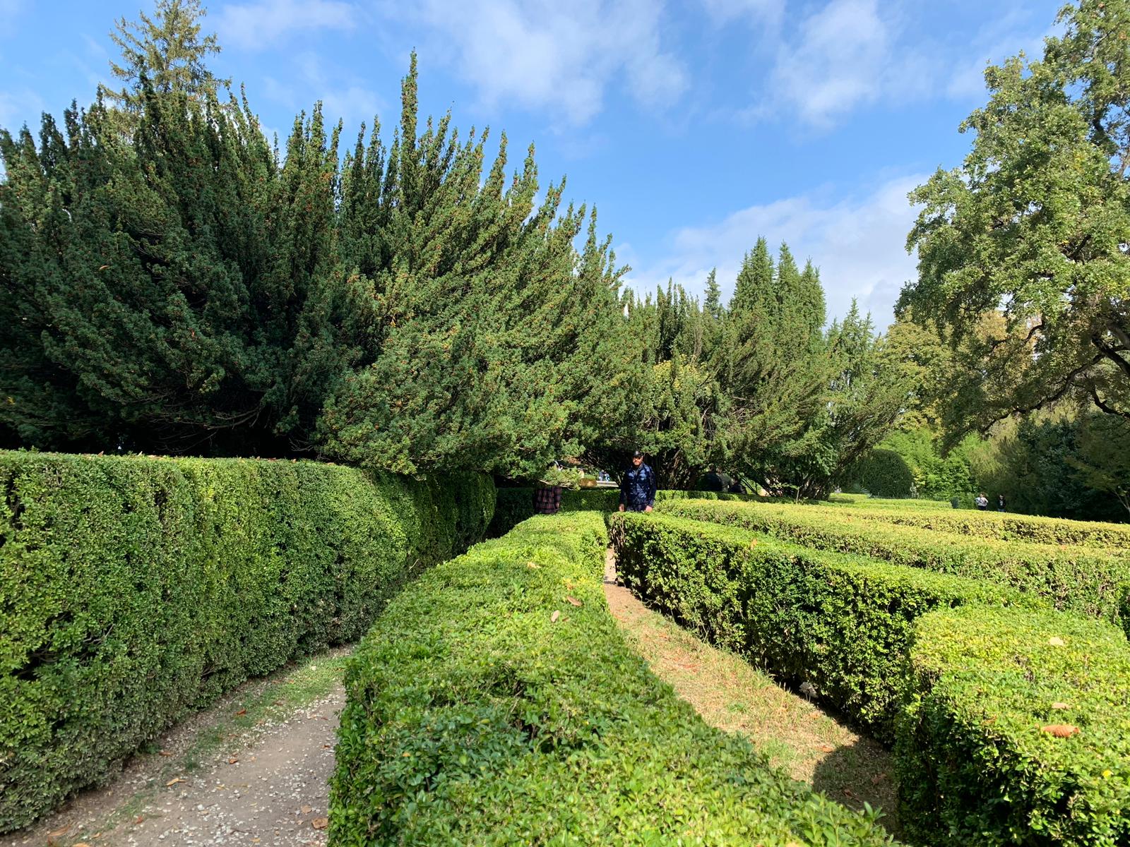 Ртвели  праздник урожая в Грузии. Осенний тематический тур (46/100)