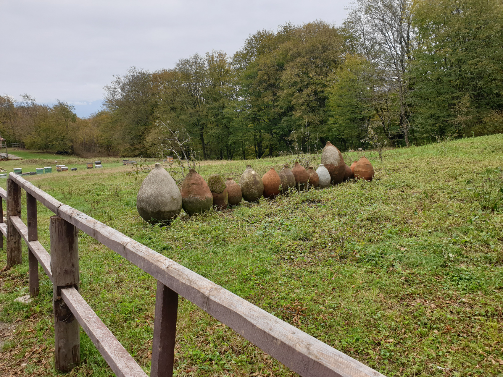 Ртвели  праздник урожая в Грузии. Осенний тематический тур (51/100)