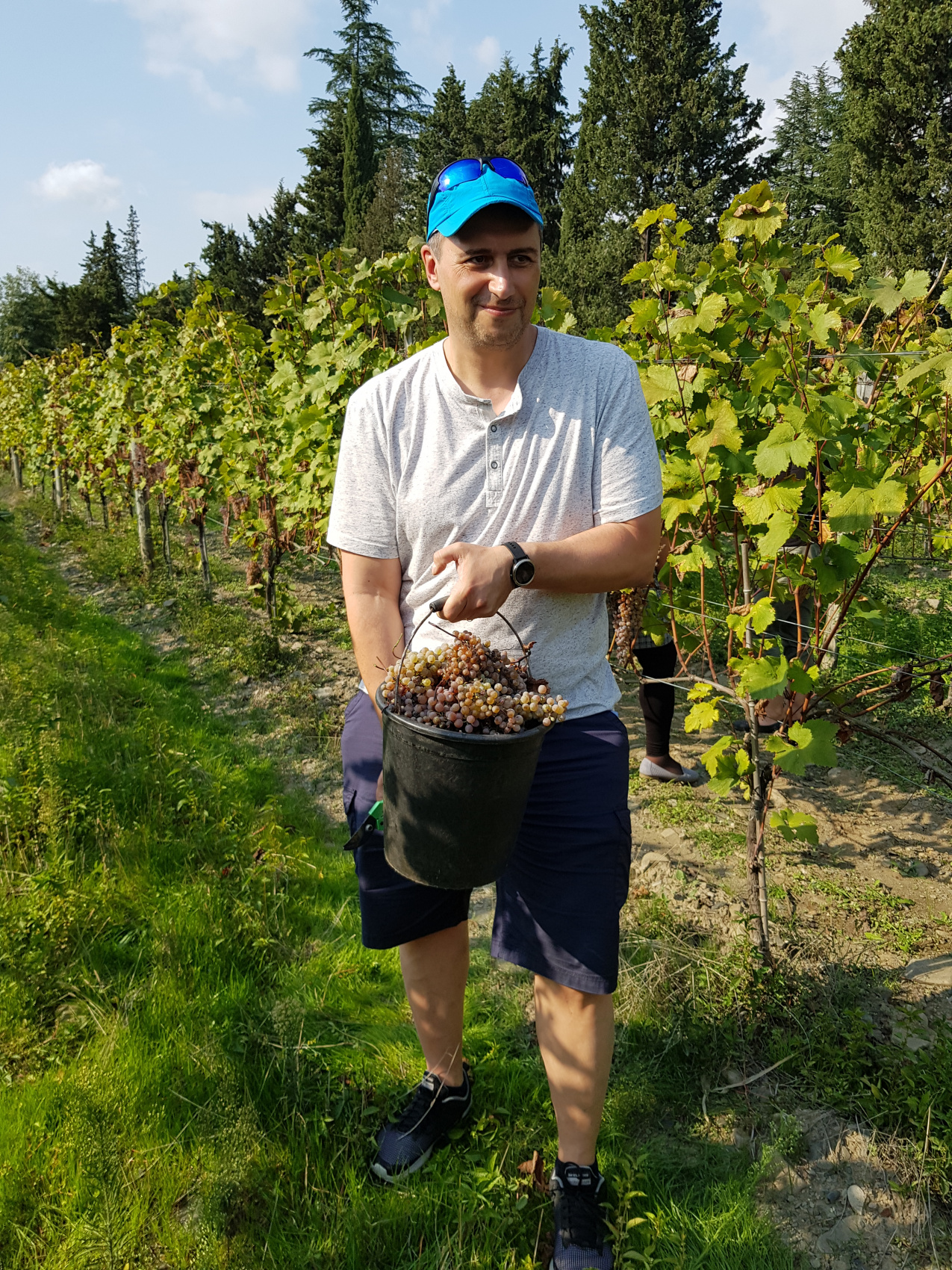 Ртвели  праздник урожая в Грузии. Осенний тематический тур (20/100)