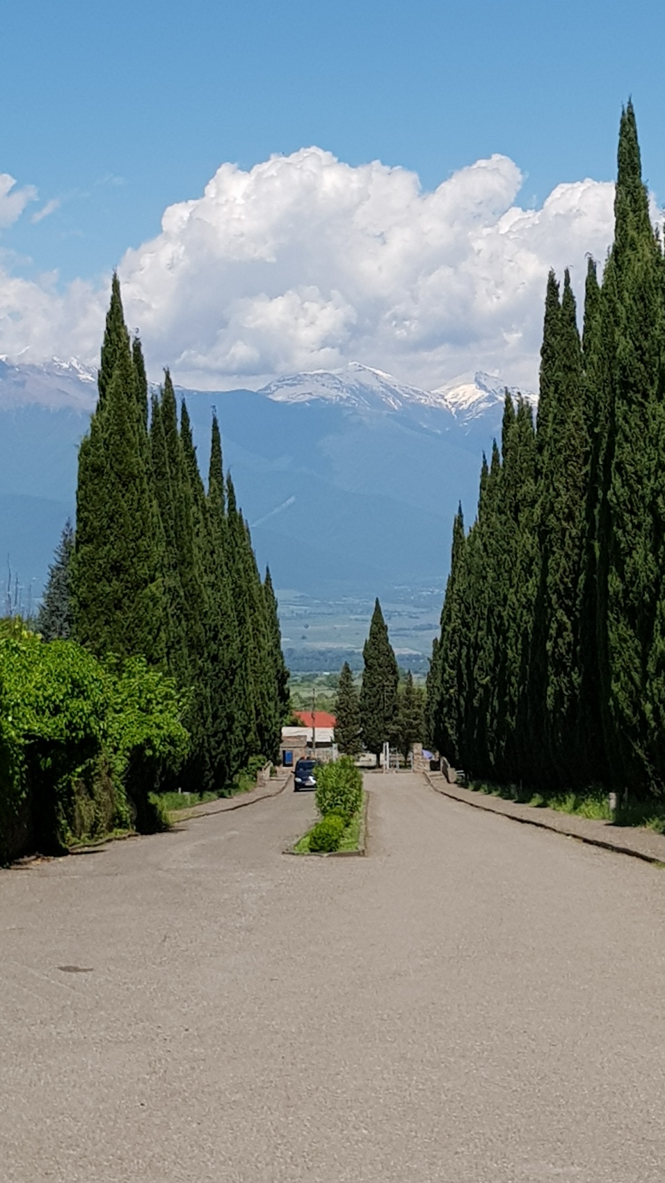 Ртвели  праздник урожая в Грузии. Осенний тематический тур (8/100)
