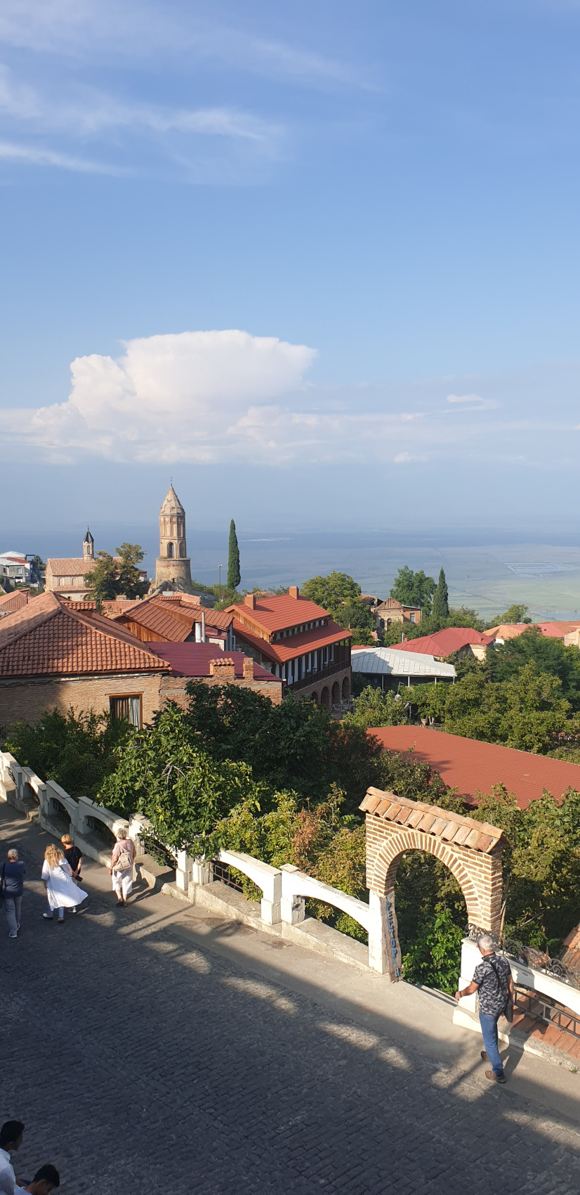 Ртвели  праздник урожая в Грузии. Осенний тематический тур (54/100)