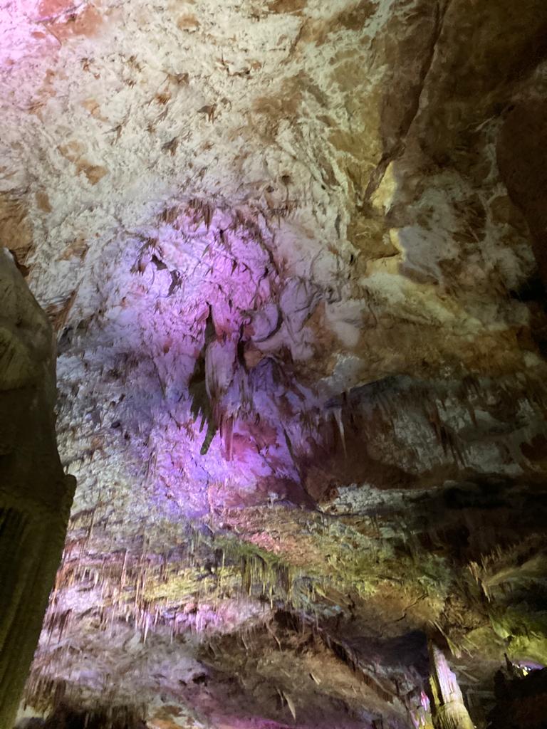 Ртвели  праздник урожая в Грузии. Осенний тематический тур (62/100)