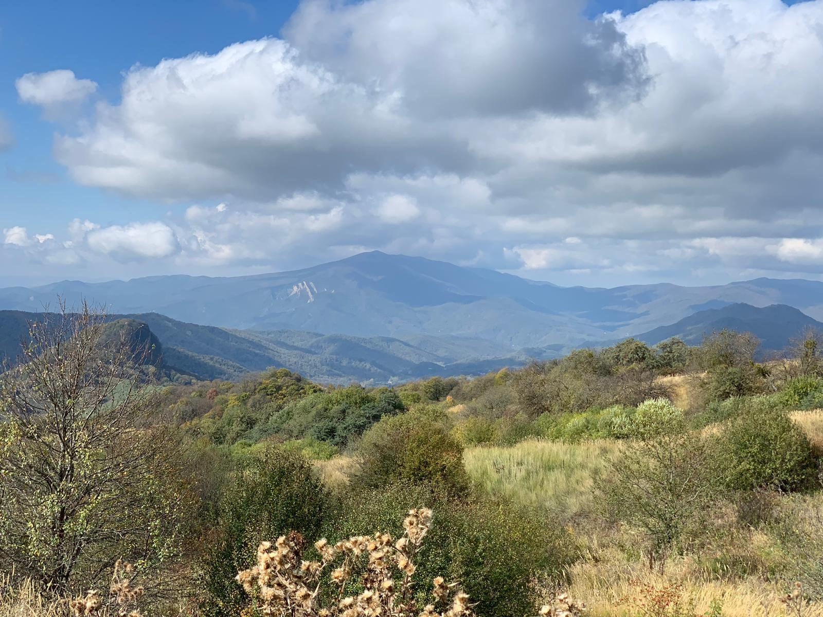 Ртвели  праздник урожая в Грузии. Осенний тематический тур (49/100)