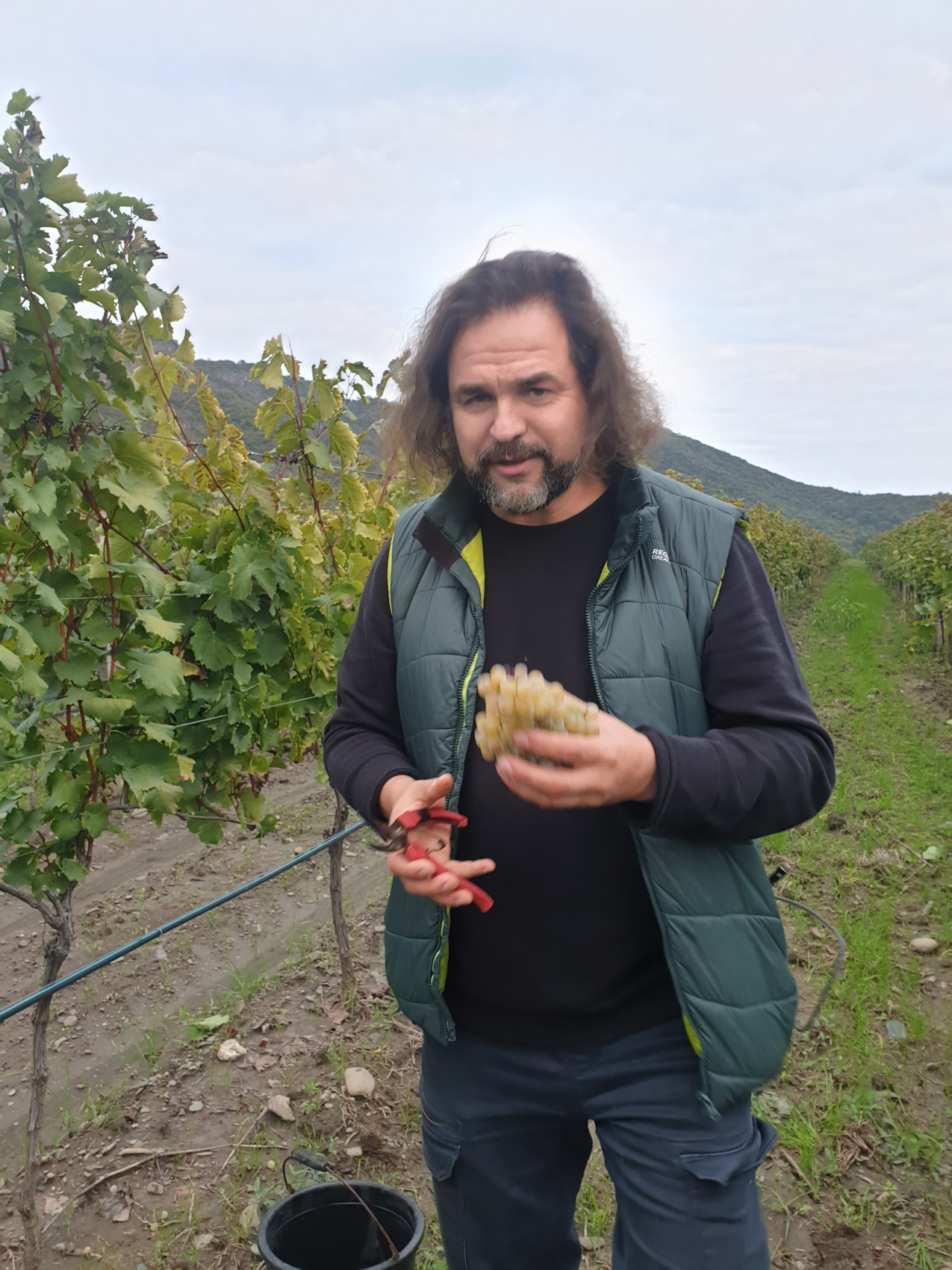 Ртвели  праздник урожая в Грузии. Осенний тематический тур (27/100)