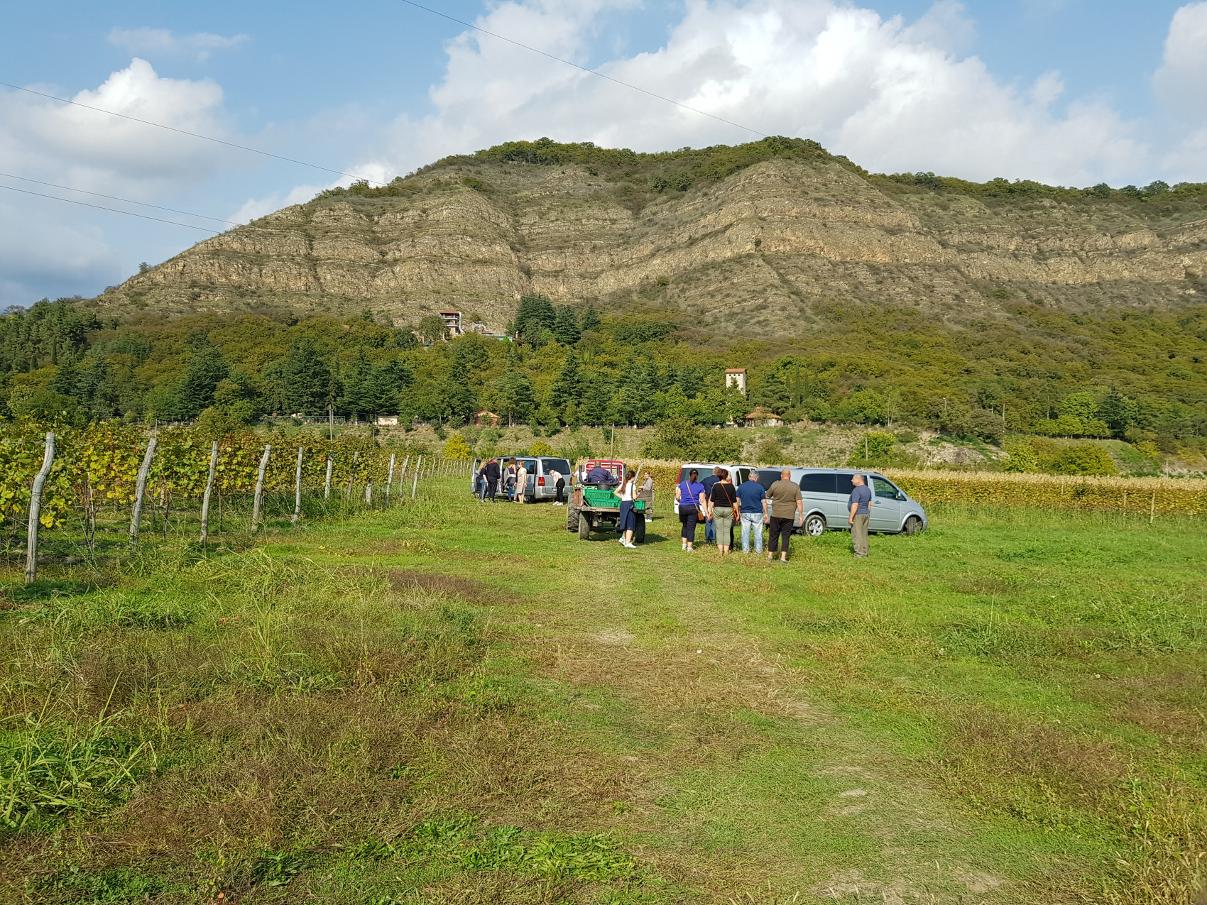 Ртвели  праздник урожая в Грузии. Осенний тематический тур (23/100)
