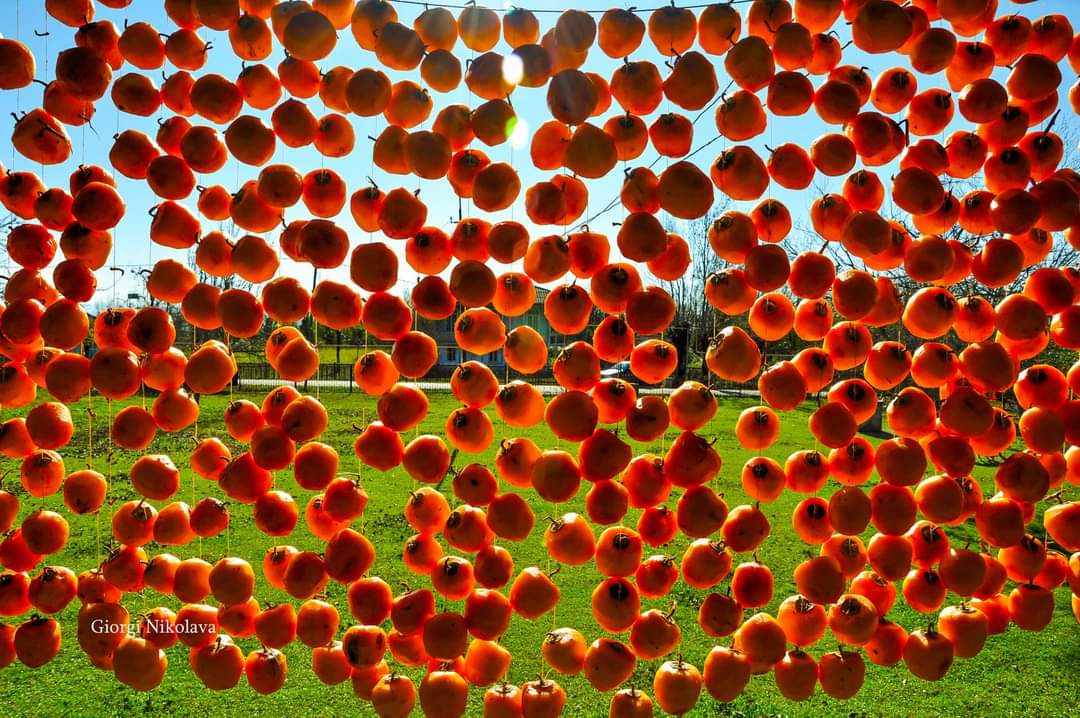 Ртвели  праздник урожая в Грузии. Осенний тематический тур (57/100)