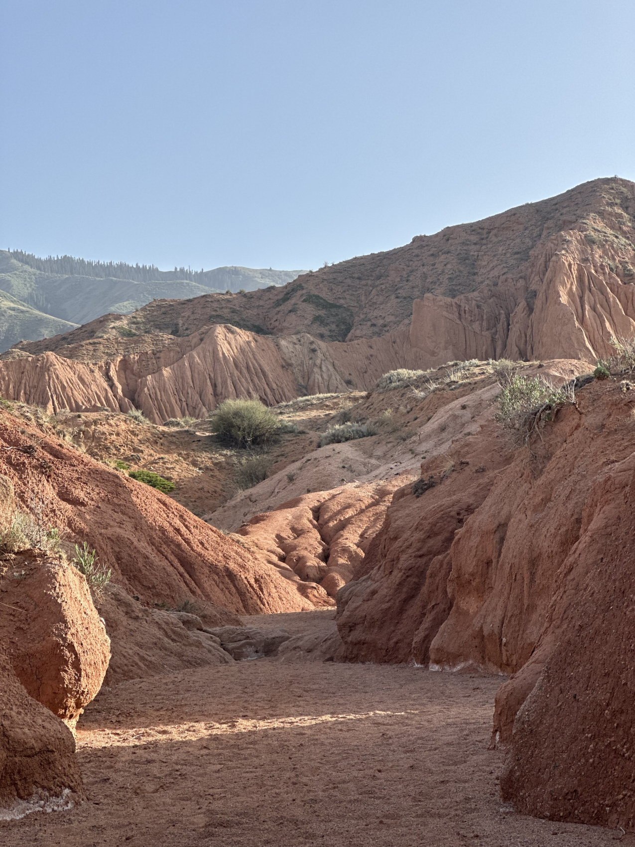 Джип-тур по Кыргызстану: 5 дней от ледников до каньонов Марса (7/52)