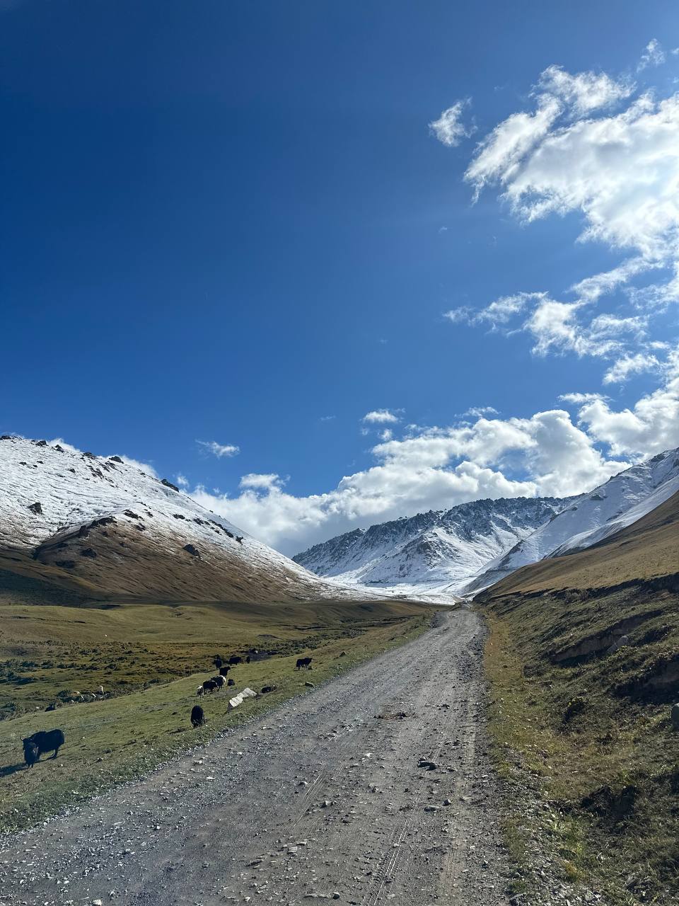 Джип-тур по Кыргызстану: 5 дней от ледников до каньонов Марса (13/52)