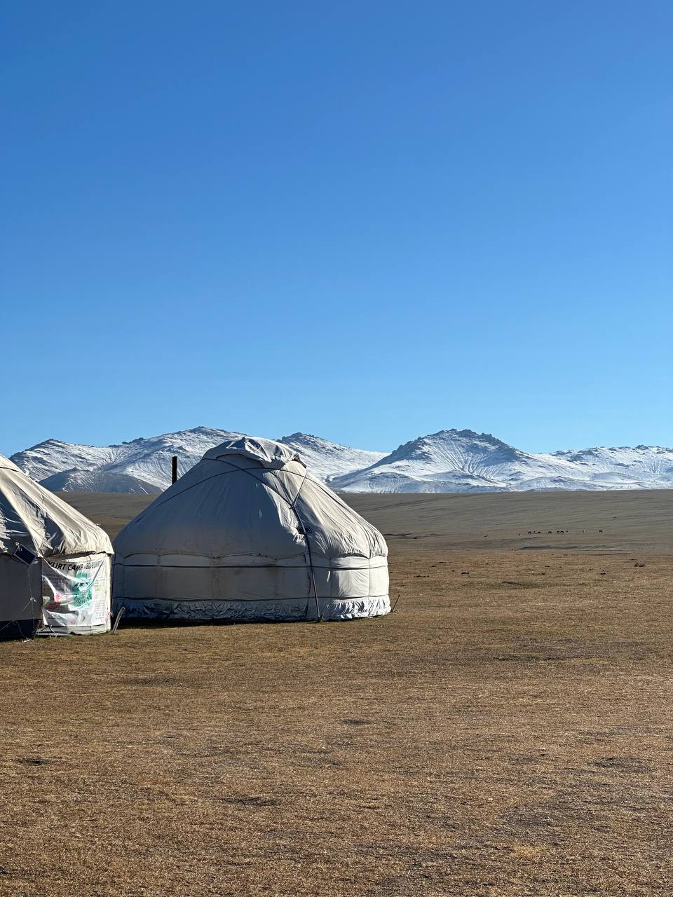 Джип-тур по Кыргызстану: 5 дней от ледников до каньонов Марса (18/52)