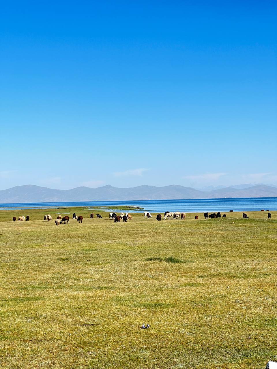 Джип-тур по Кыргызстану: 5 дней от ледников до каньонов Марса (24/52)