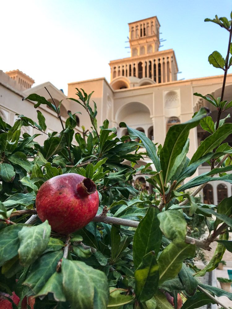 Путешествие в Иран (всё включено) (6/29)