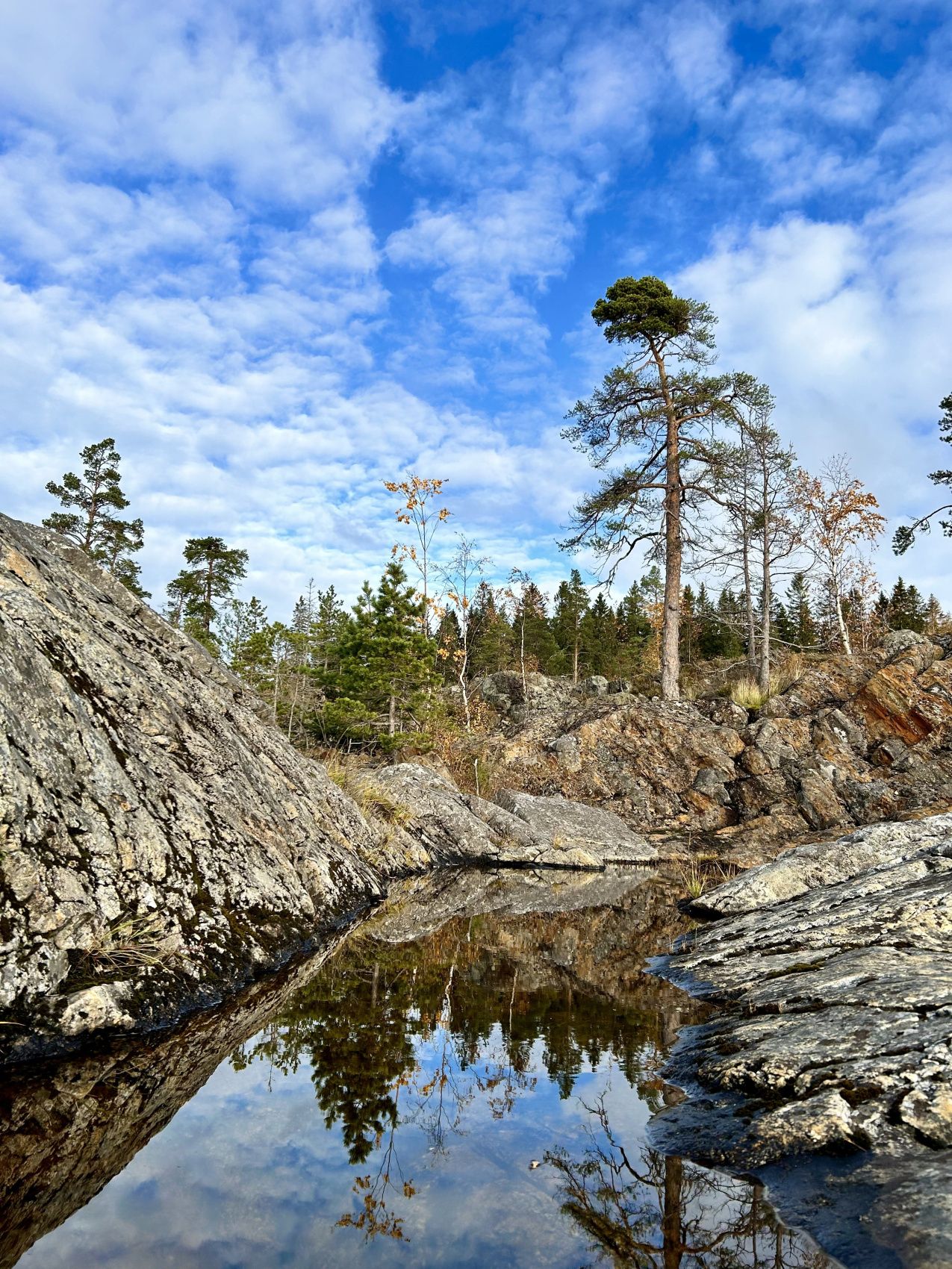 Карельский релакс. Топ места Карелия и домики с панорамным видом Любые Даты! (16/43)