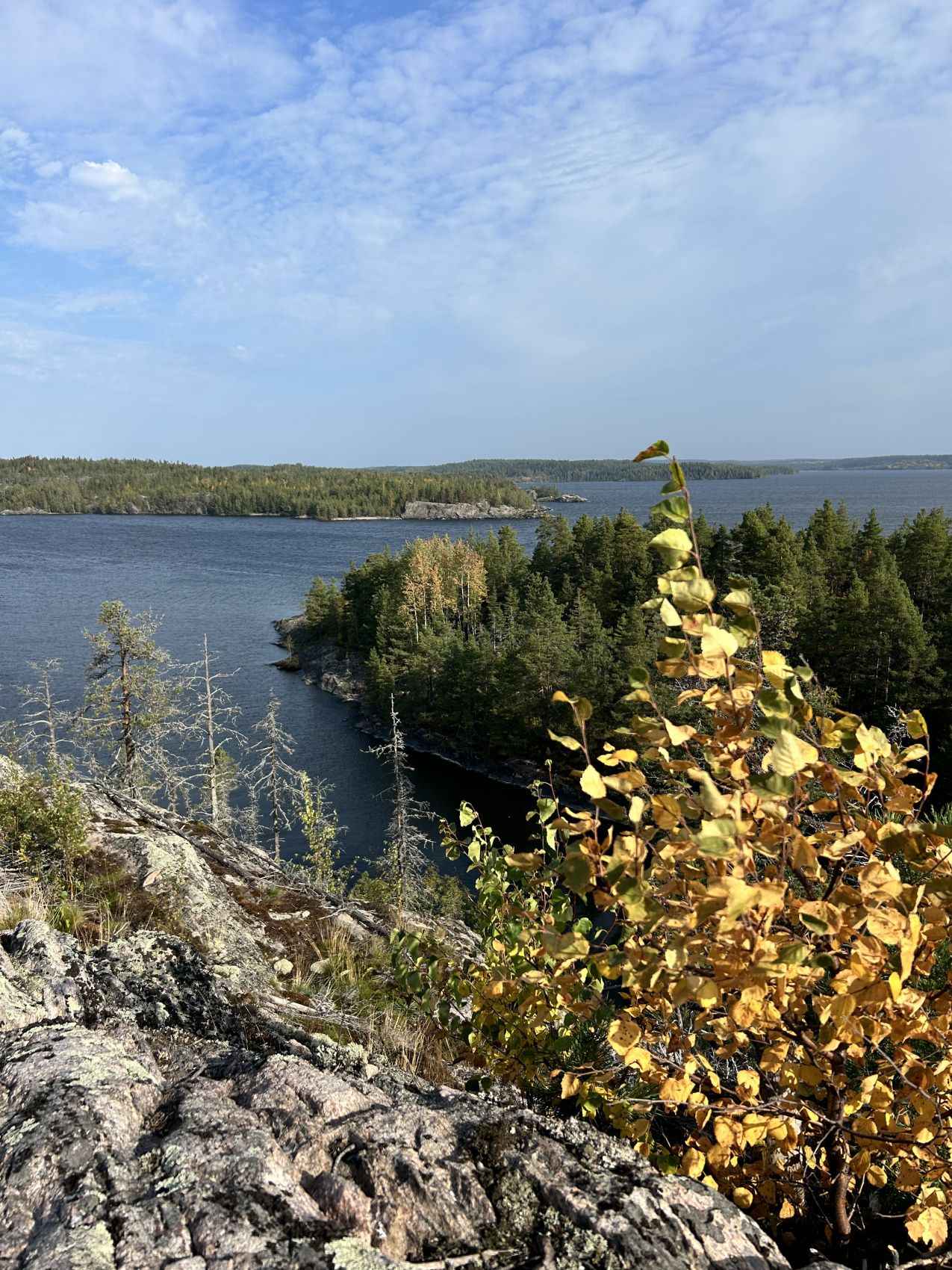 Карельский релакс. Топ места Карелия и домики с панорамным видом Любые Даты! (27/43)