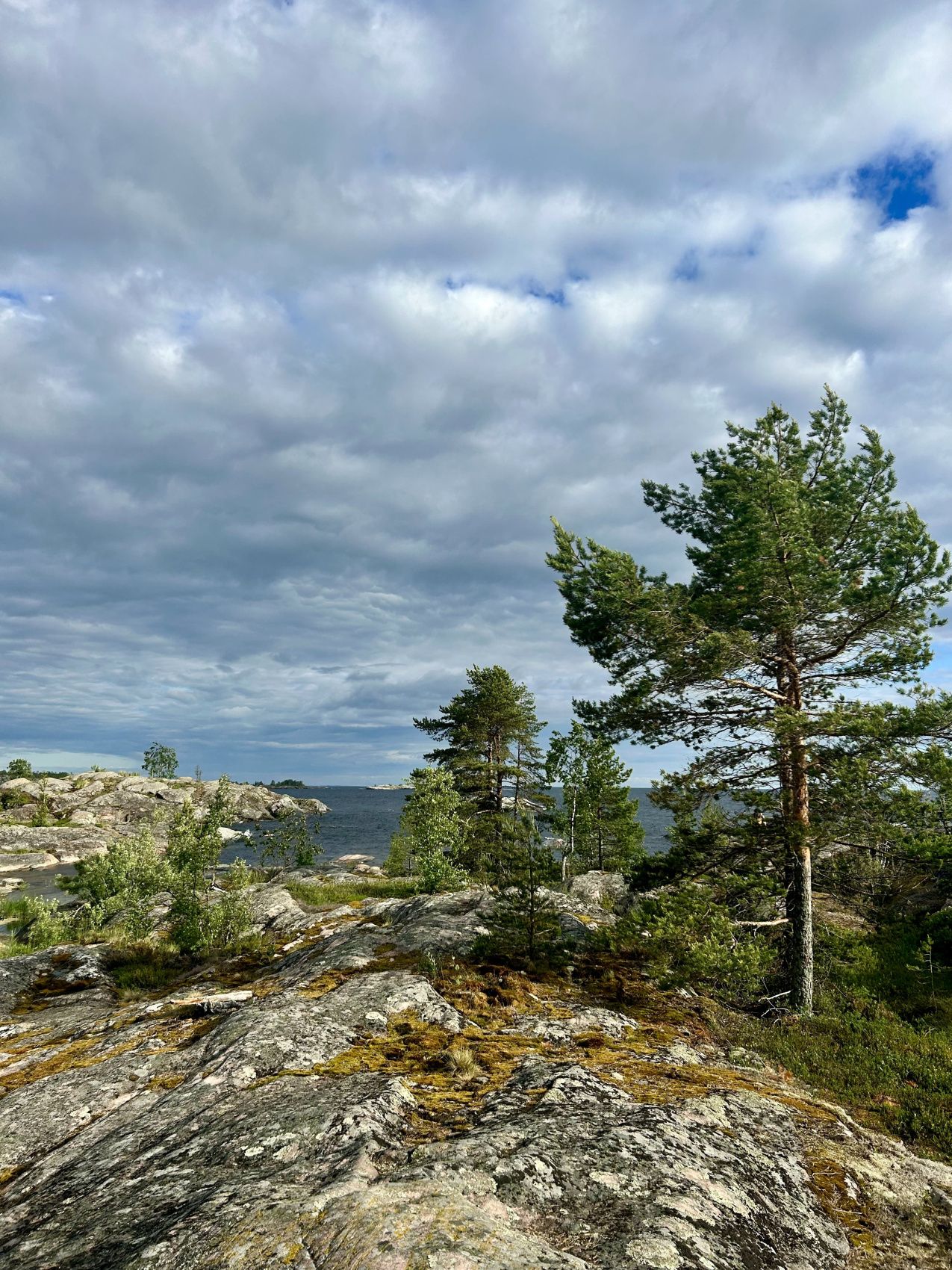 Карельский релакс. Топ места Карелия и домики с панорамным видом Любые Даты! (28/43)