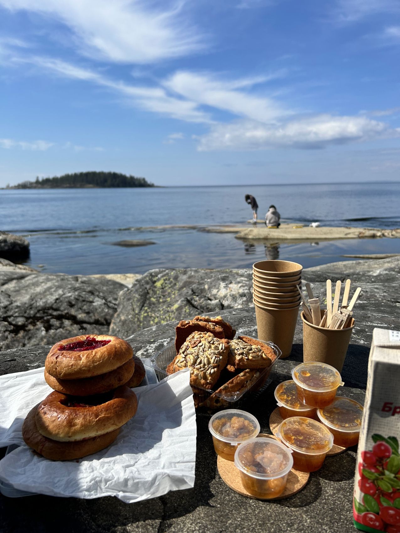 Карельский релакс. Топ места Карелия и домики с панорамным видом Любые Даты! (26/43)