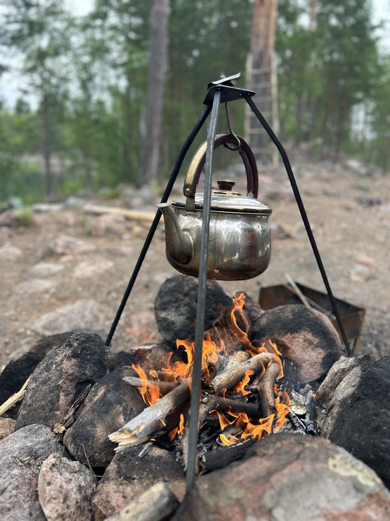Карельский релакс. Топ места Карелия и домики с панорамным видом Любые Даты! (13/43)