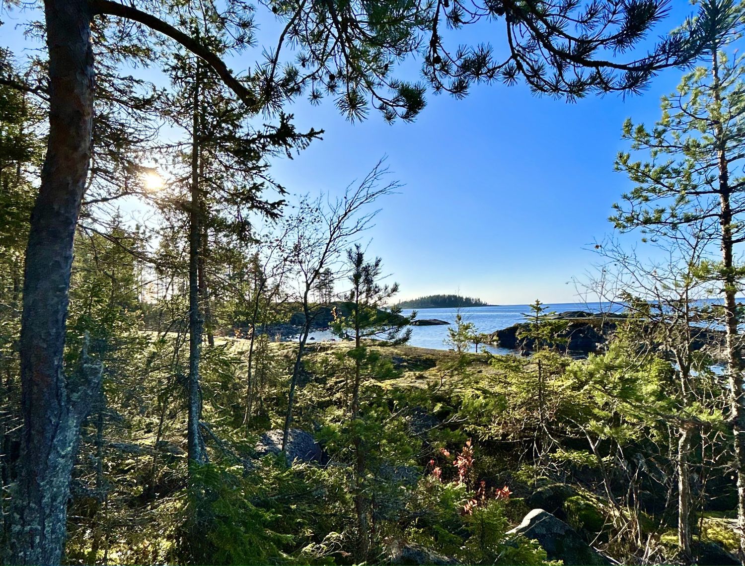 Карельский релакс. Топ места Карелия и домики с панорамным видом Любые Даты! (8/43)