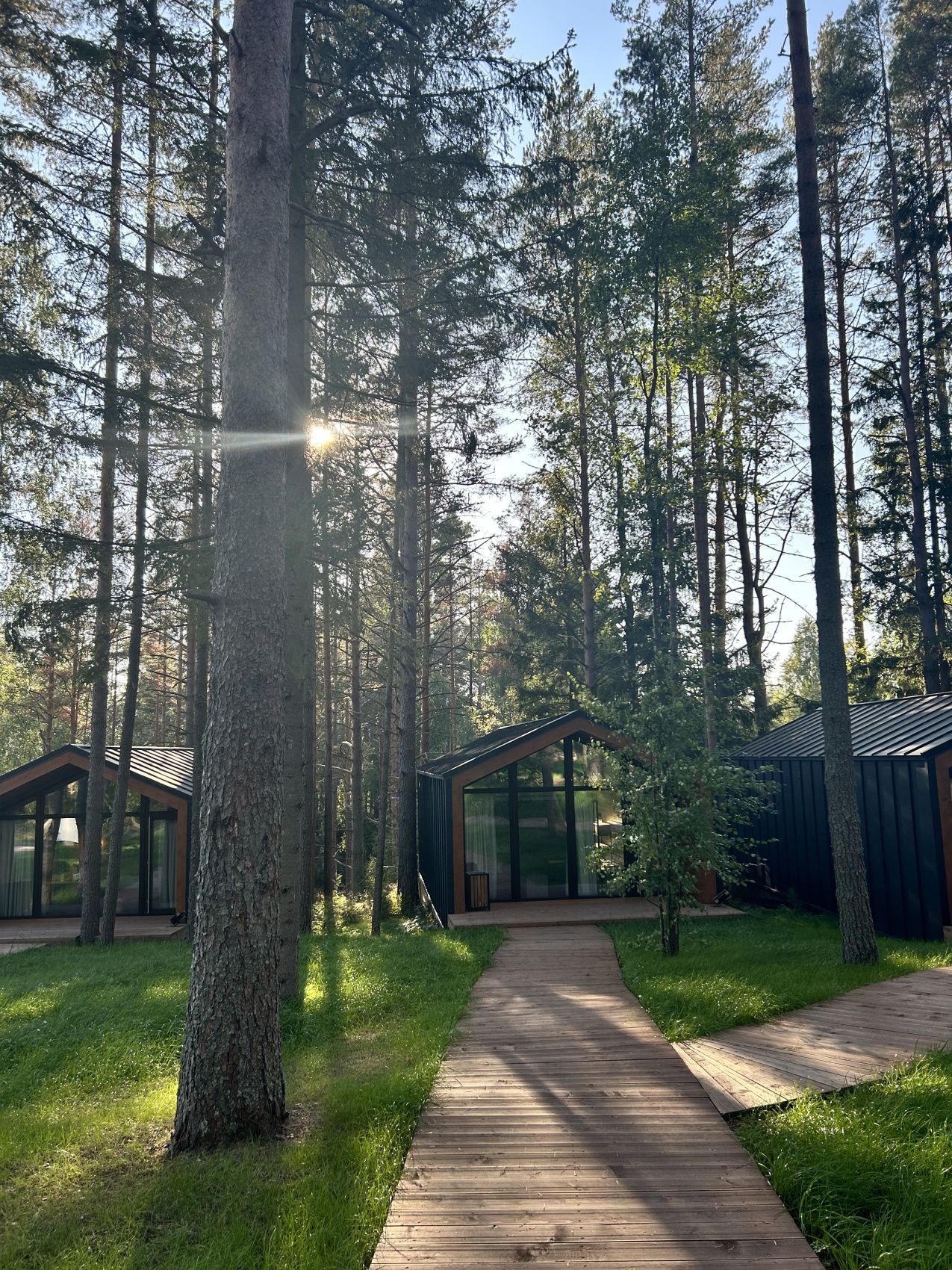 Карельский релакс. Топ места Карелия и домики с панорамным видом Любые Даты! (31/43)