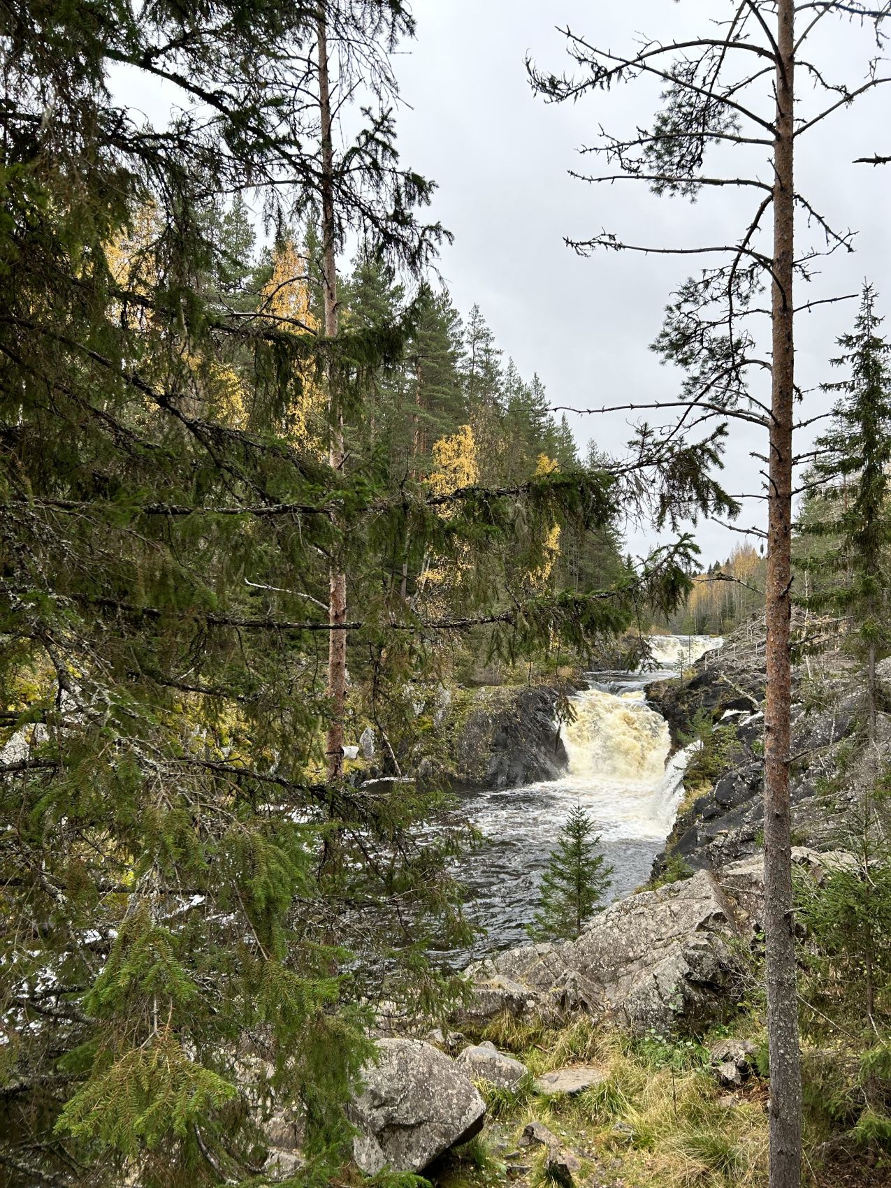 Карельский релакс. Топ места Карелия и домики с панорамным видом Любые Даты! (6/43)