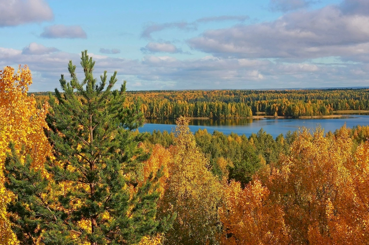 Карельский релакс. Топ места Карелия и домики с панорамным видом Любые Даты! (14/43)