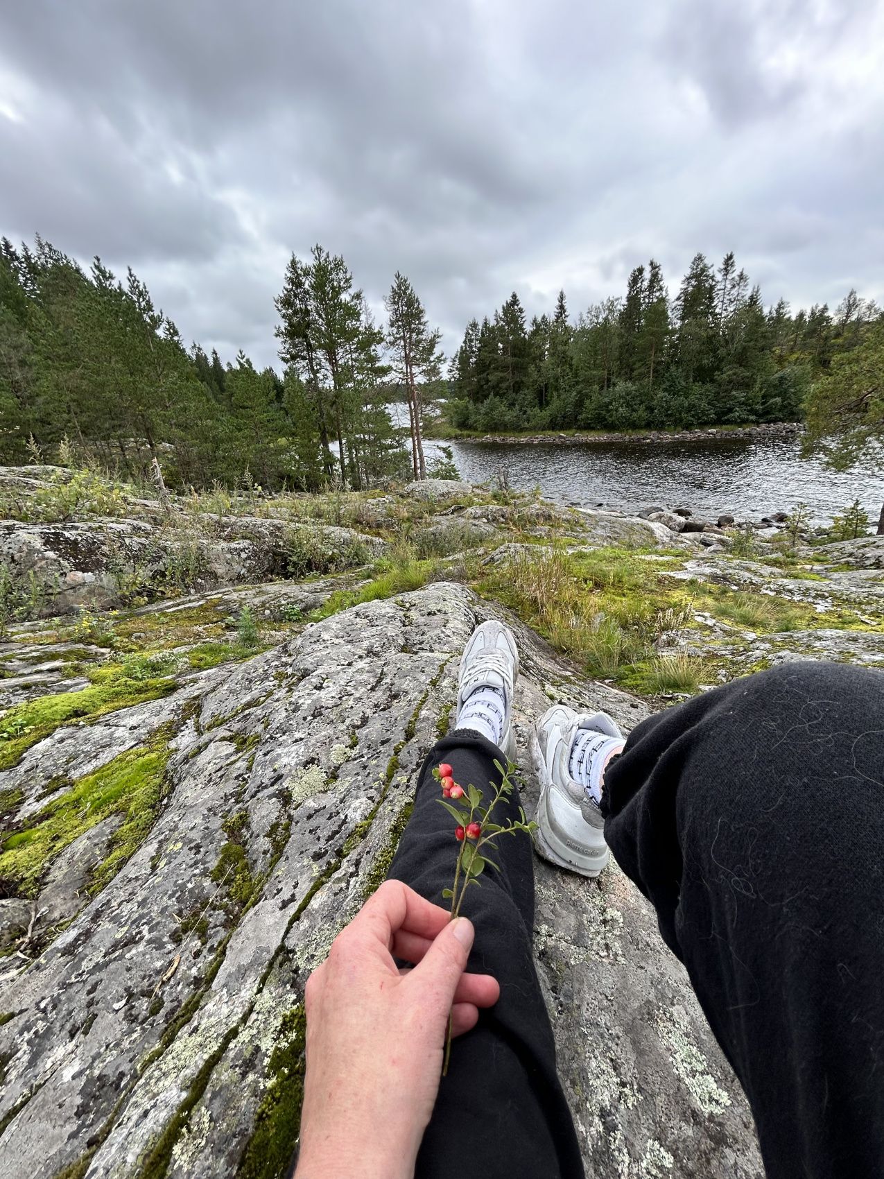 Карельский релакс. Топ места Карелия и домики с панорамным видом Любые Даты! (21/43)