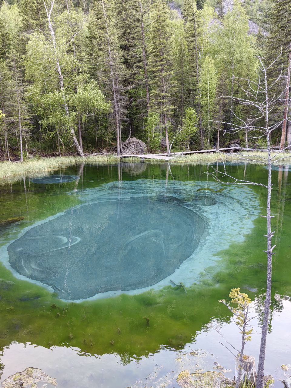 А Л Т А Й  мульти-тур (4/27)