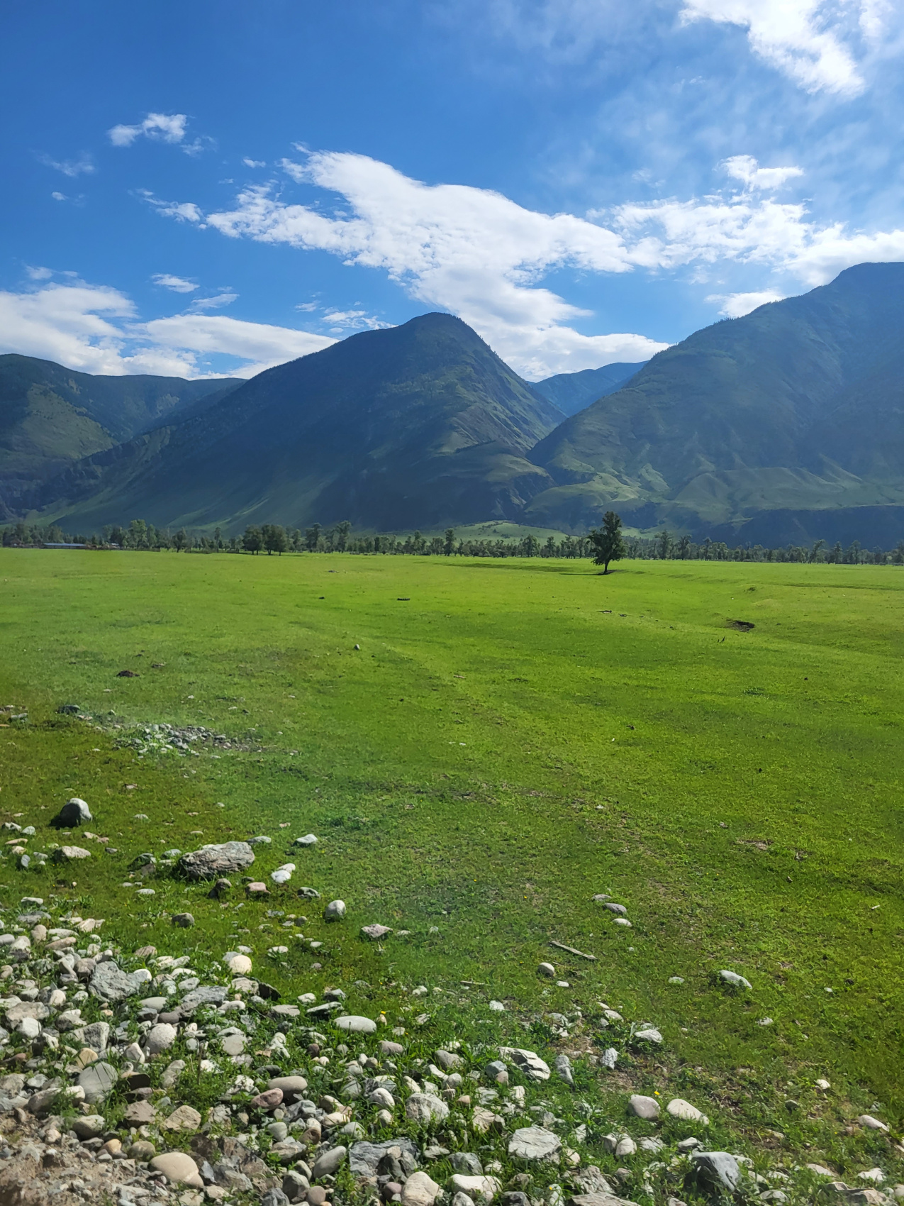 А Л Т А Й  мульти-тур (7/27)