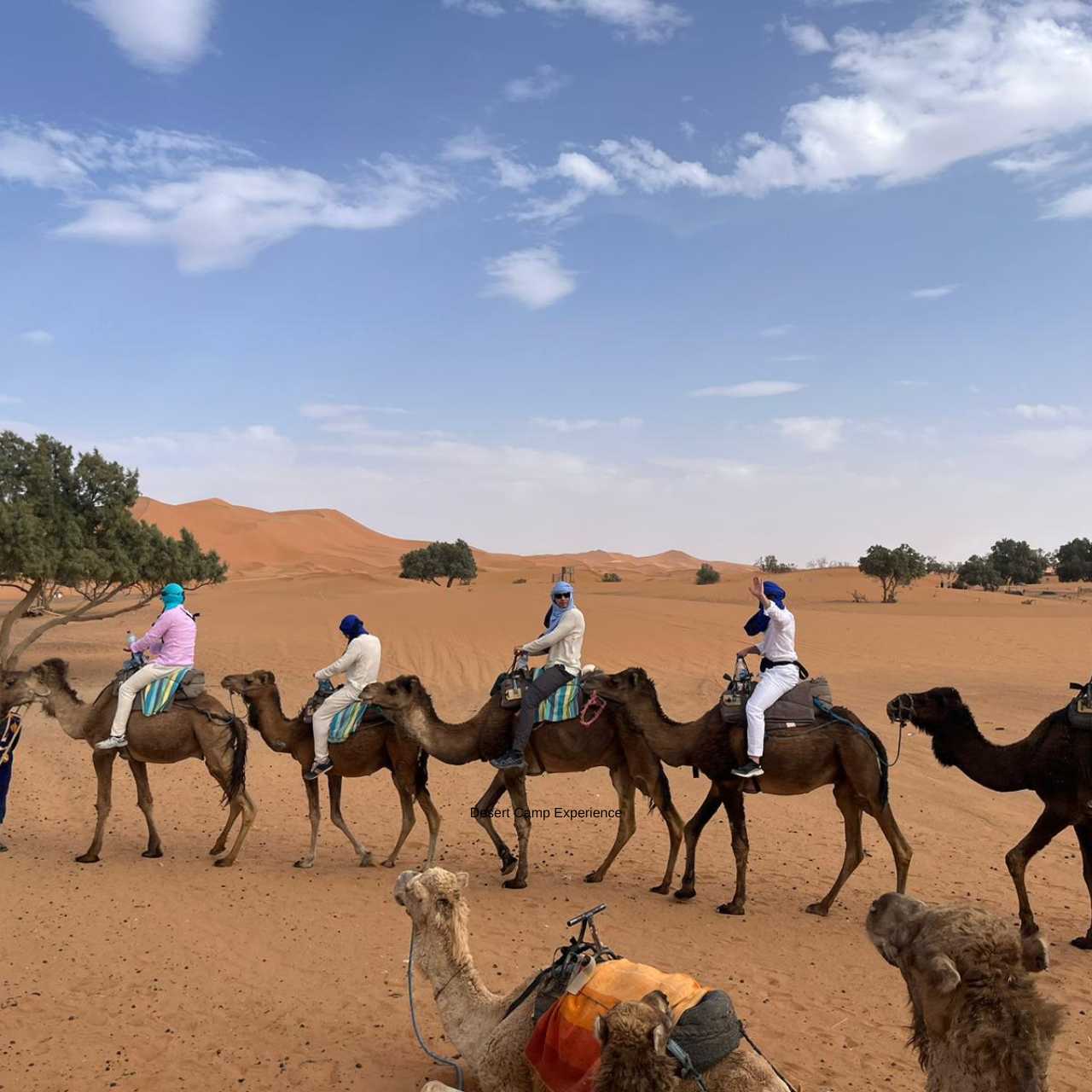 Из Марракеша: 3-дневный групповой тур в пустыню Мерзуга и поход на верблюдах  (5/9)