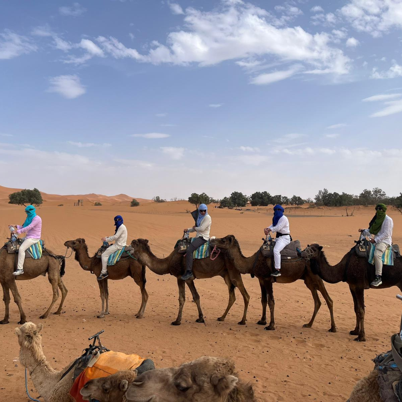 Из Марракеша: 3-дневный групповой тур в пустыню Мерзуга и поход на верблюдах  (6/9)