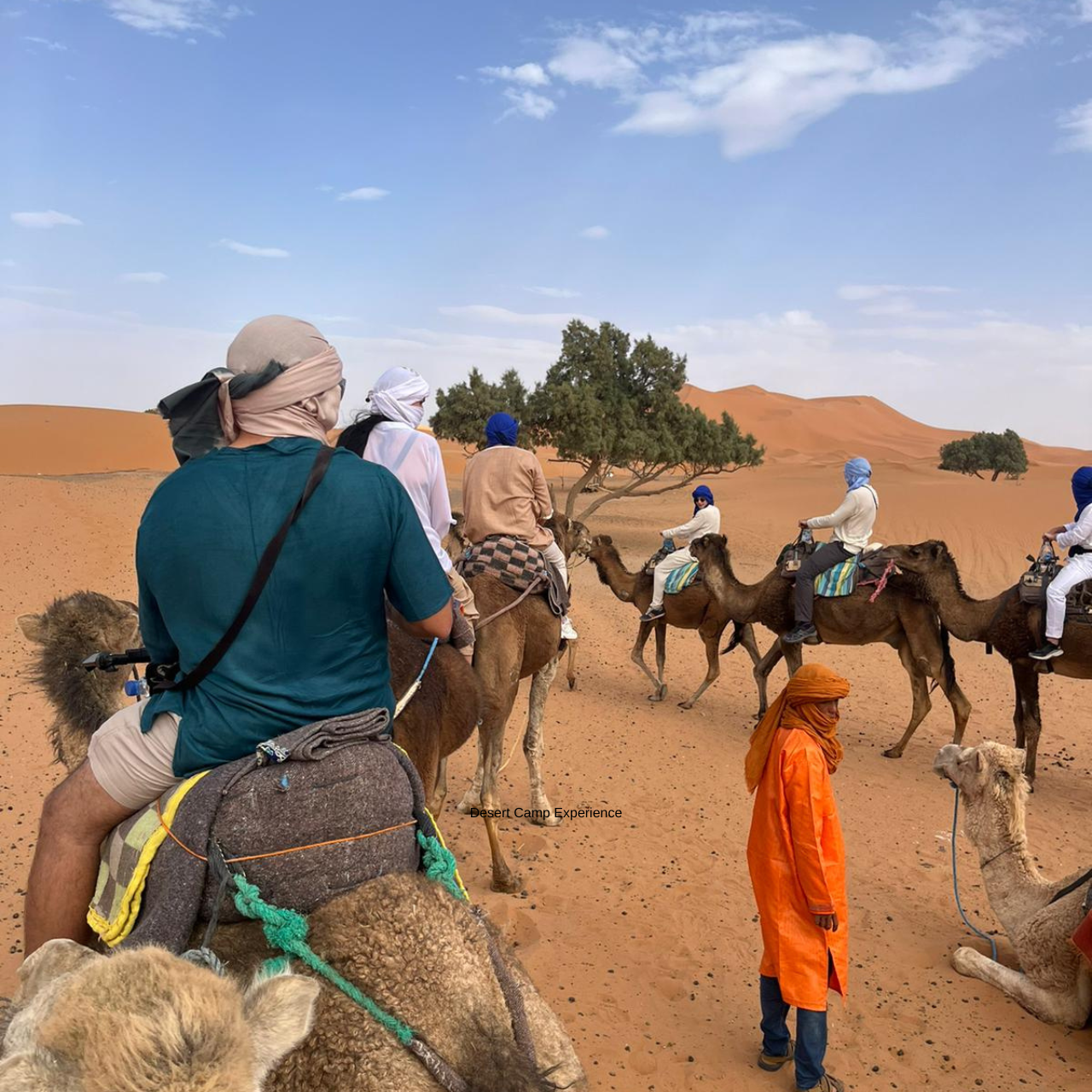 Из Марракеша: 3-дневный групповой тур в пустыню Мерзуга и поход на верблюдах  (4/9)
