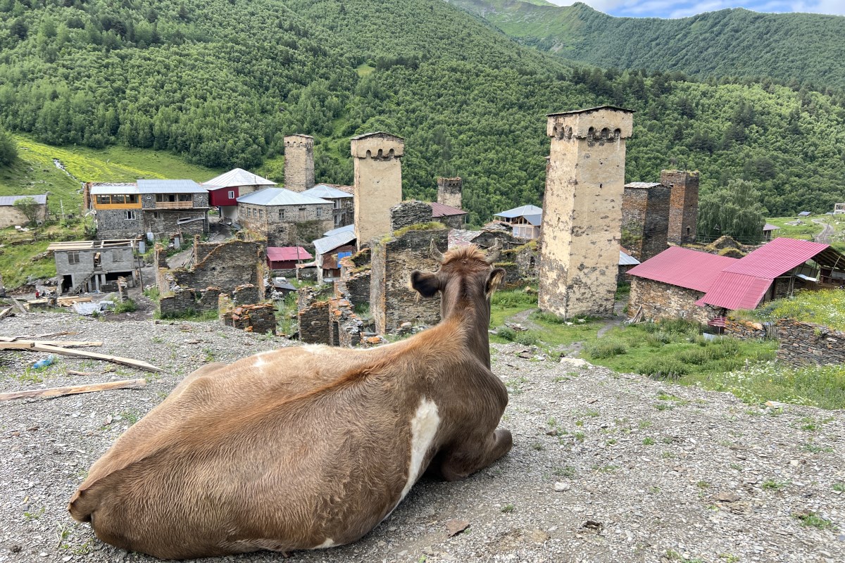 Сванети и Самегрело (этно-тур в Западную Грузию)) (62/108)