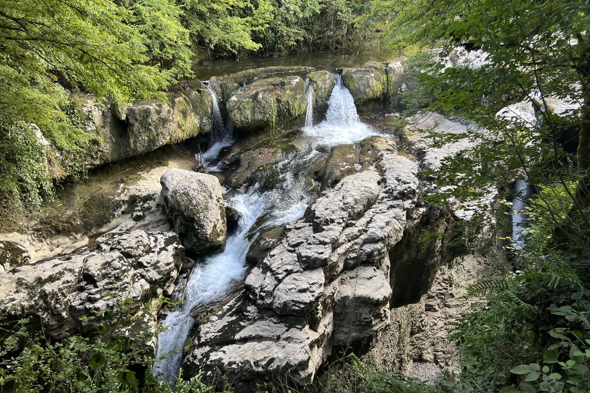 Сванети и Самегрело (этно-тур в Западную Грузию)) (22/108)