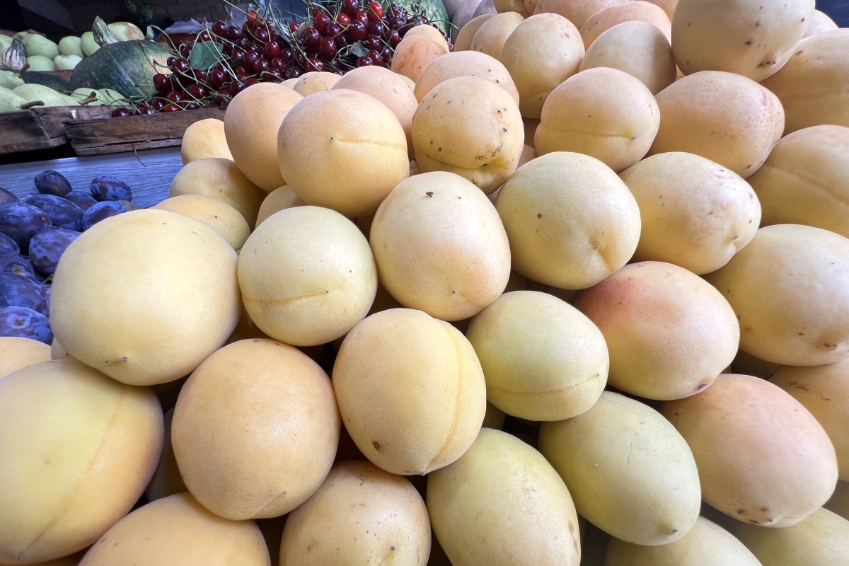 Сванети и Самегрело (этно-тур в Западную Грузию)) (73/108)