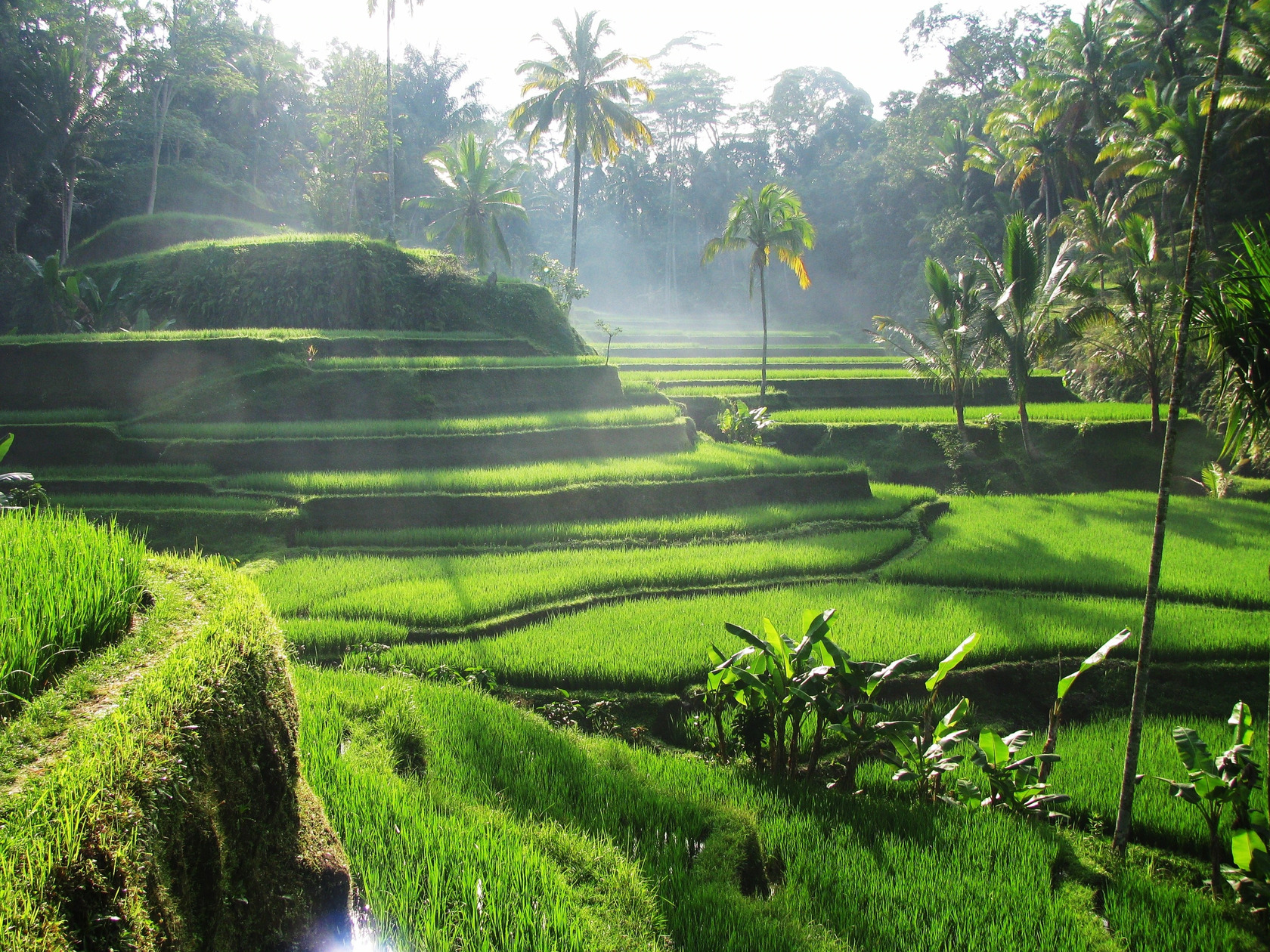 9 дней роскоши и вдохновения на Бали (3/30)