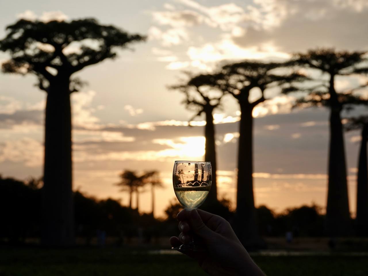 Мадагаскар. Маврикий (7/32)