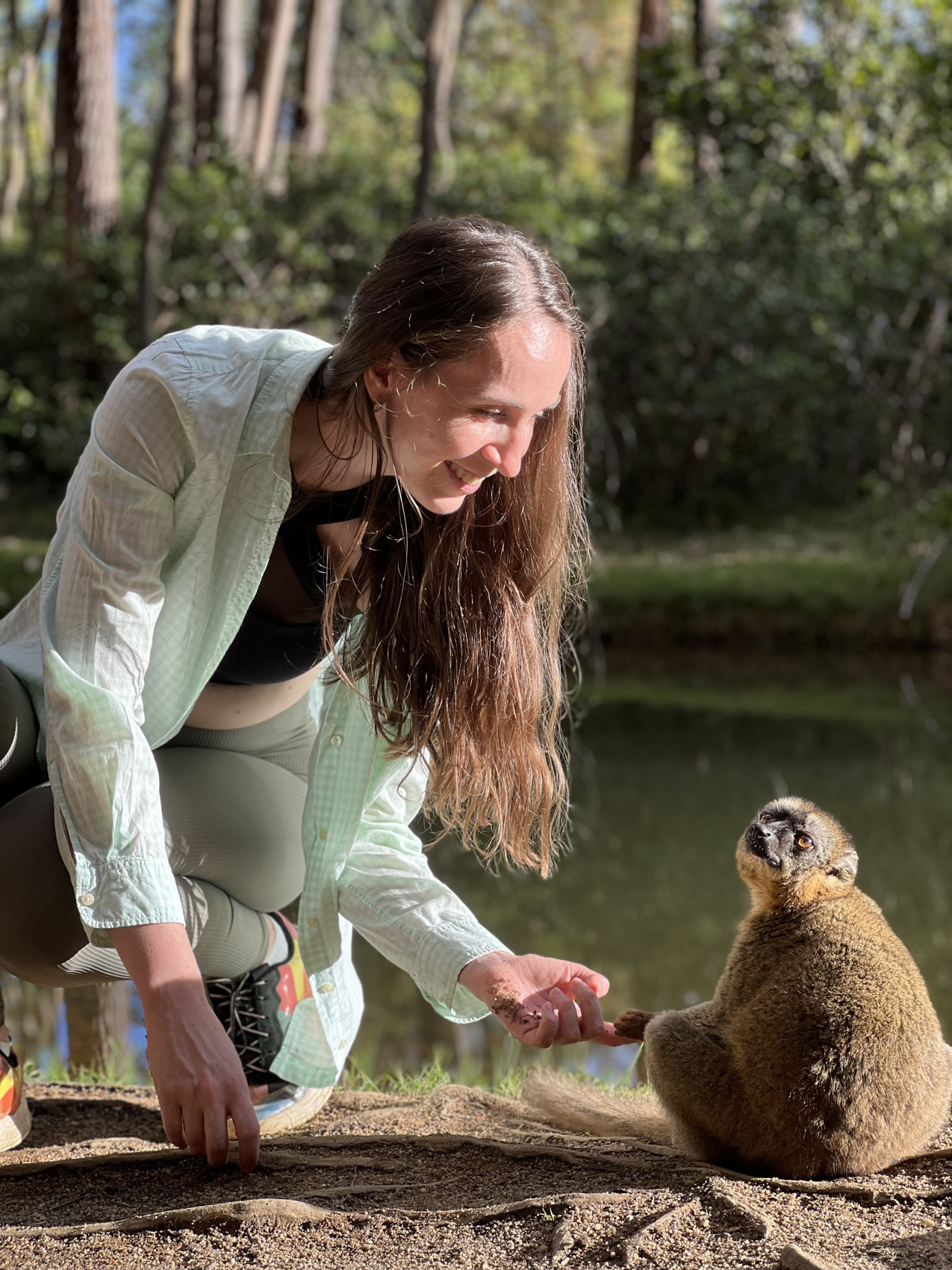 Мадагаскар. Маврикий (15/32)