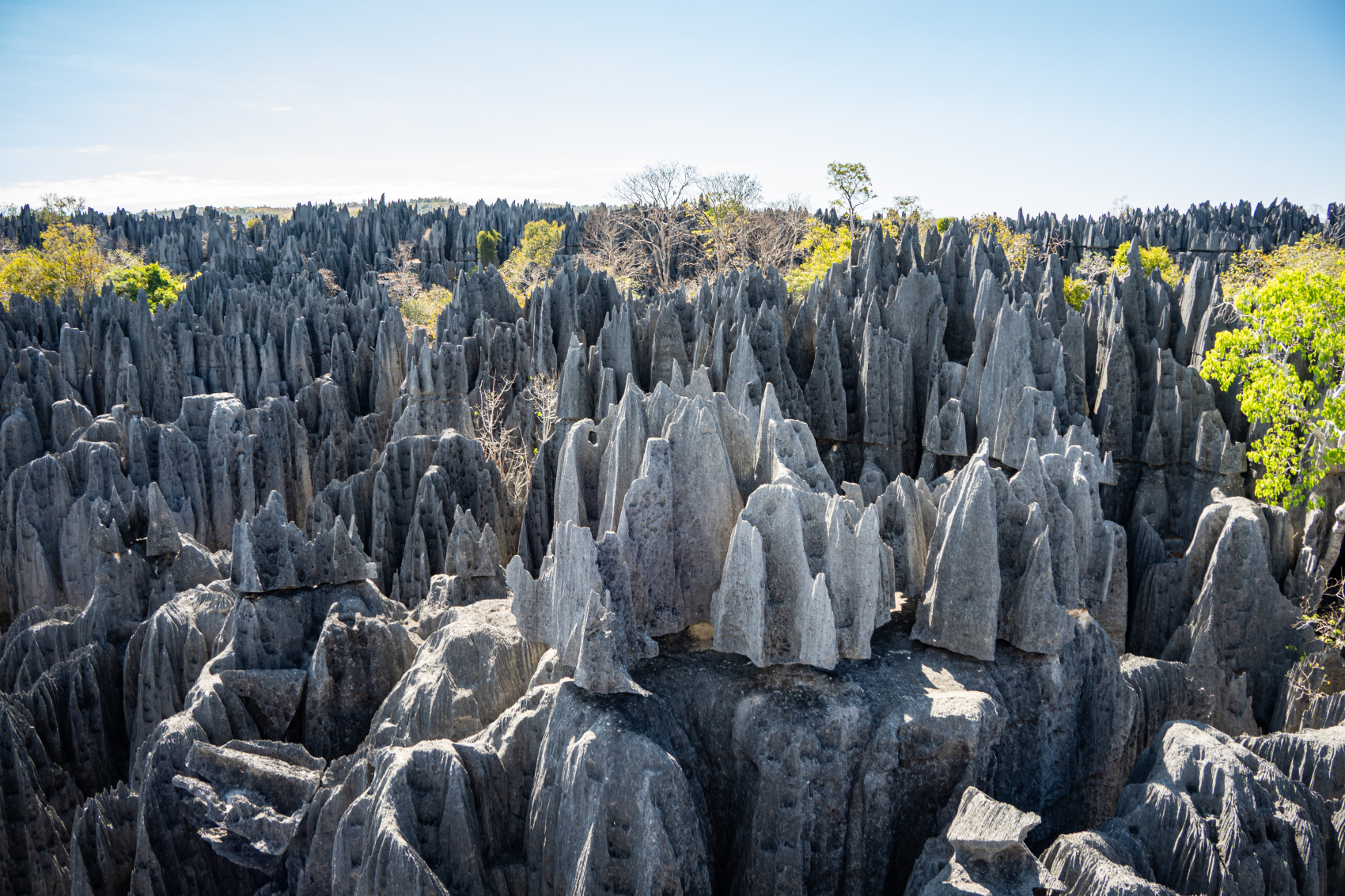 Мадагаскар. Маврикий (8/32)