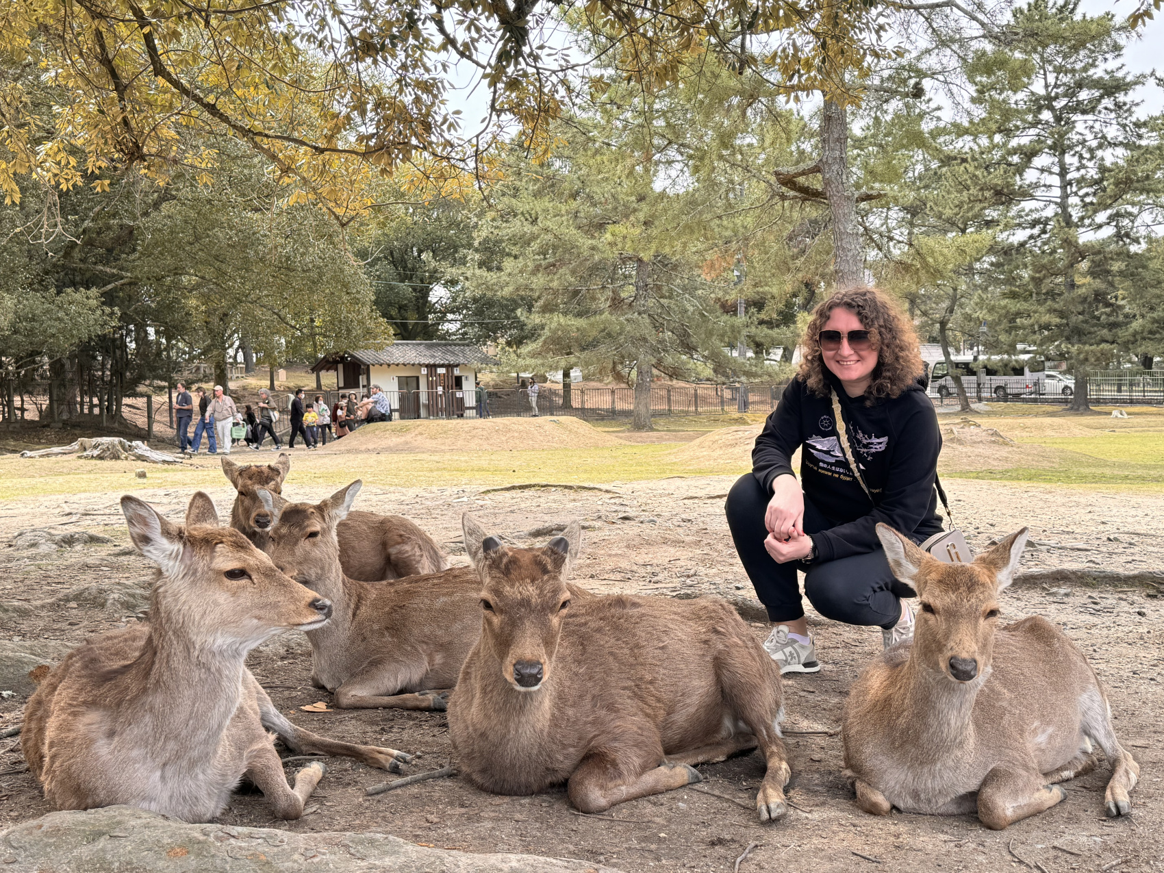 Чарующая Япония. Цветение сакуры (8/21)