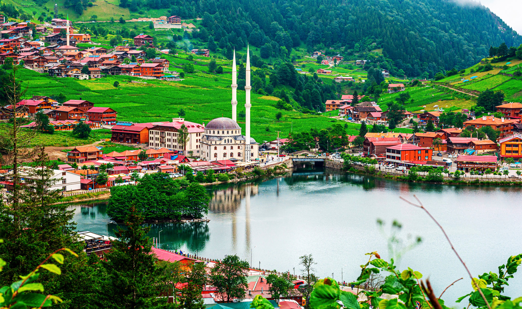 В Объятьях Солнечного Батуми (31/56)