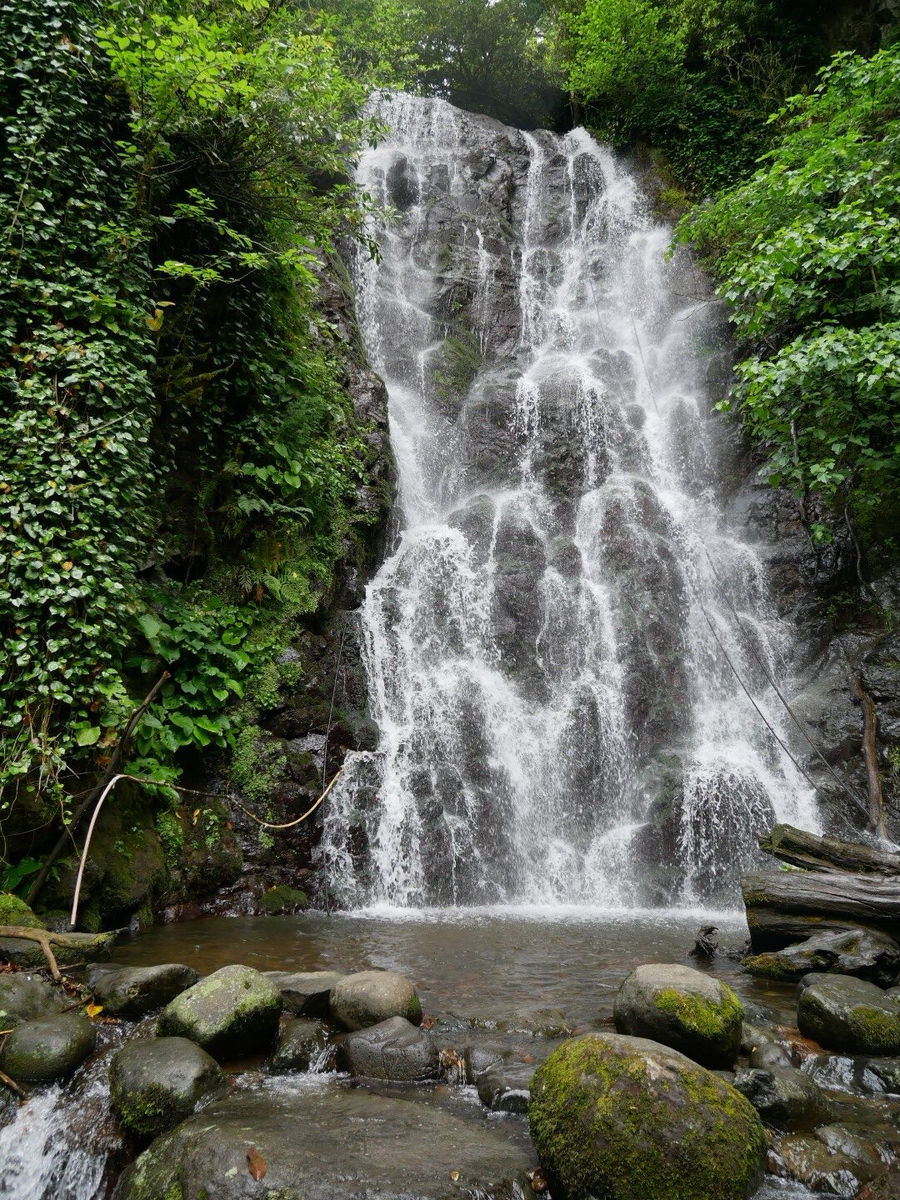 В Объятьях Солнечного Батуми (15/56)