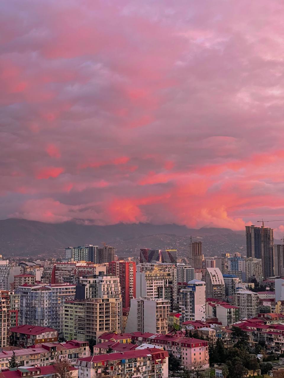 В Объятьях Солнечного Батуми (8/56)