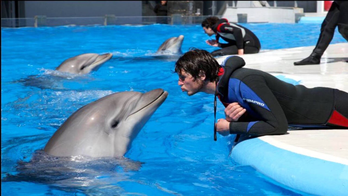 В Объятьях Солнечного Батуми (20/56)