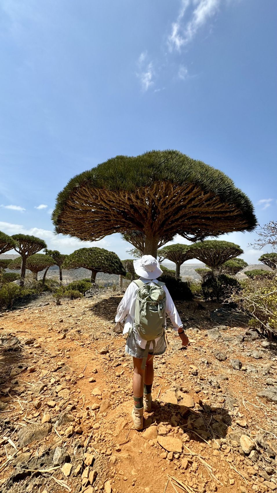 Сокотра без компромисов. Только вы и природа.