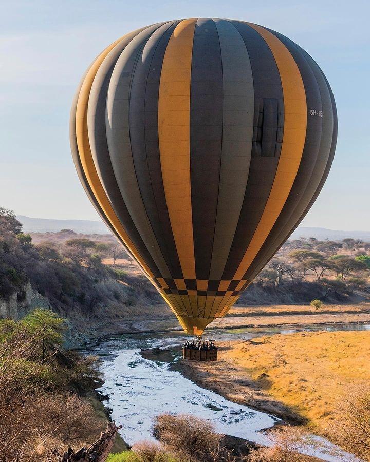 Жемчужина Африки: ваше Сафари в Серенгети, Большая пятёрка и океан Занзибара (3/47)
