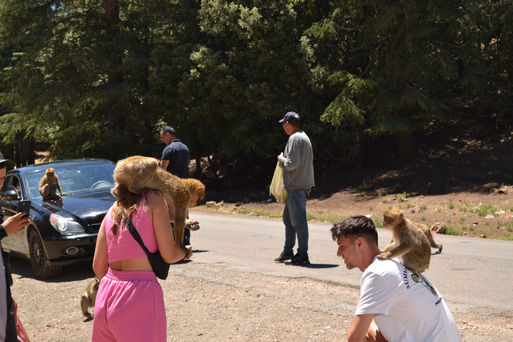 2-дневный тур по пустыне из Феса (5/31)