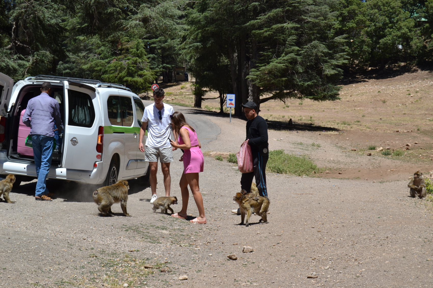 2-дневный тур по пустыне из Феса (3/31)