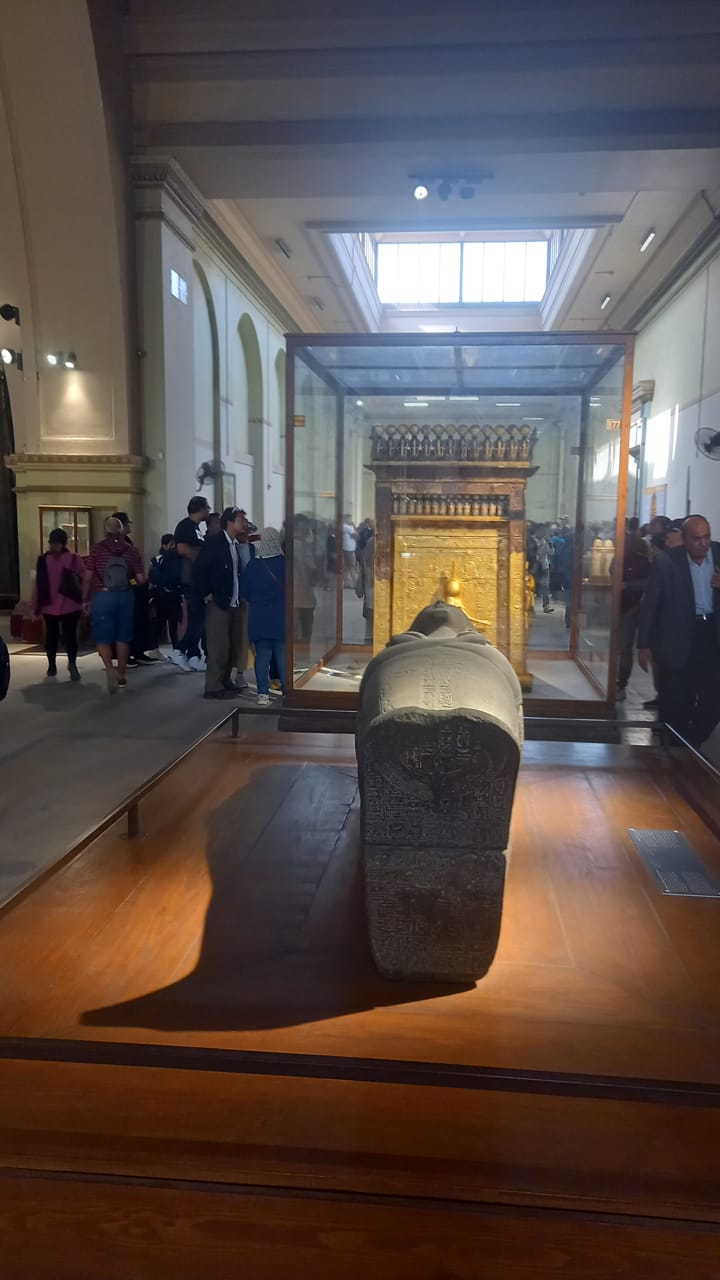 Север Египта: Каир, Гиза, Александрия, Алфаюм, белая и черная пустыни (43/51)