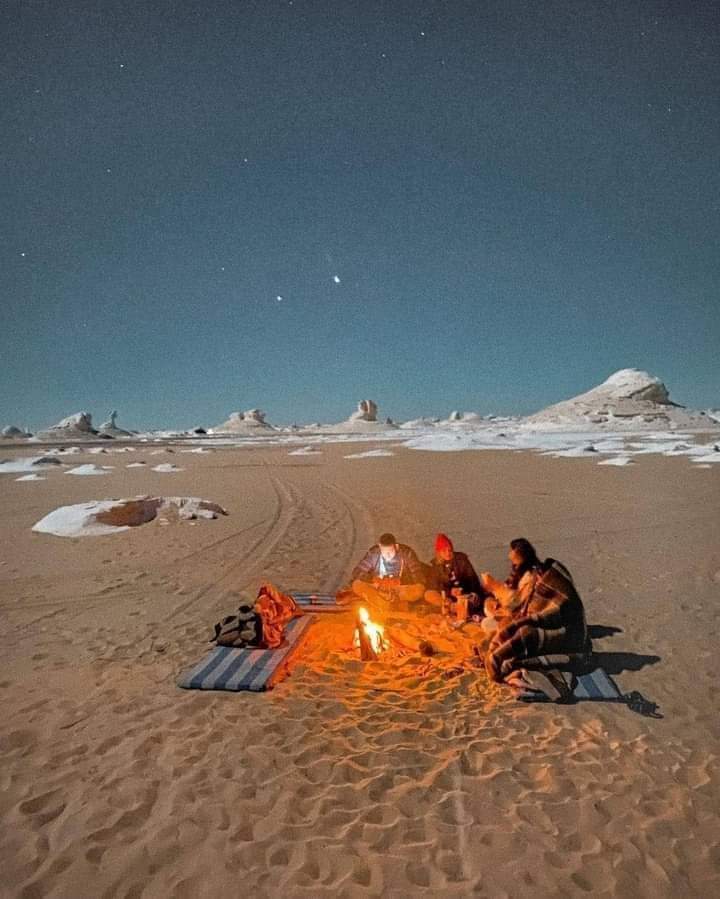 Север Египта: Каир, Гиза, Александрия, Алфаюм, белая и черная пустыни (18/51)