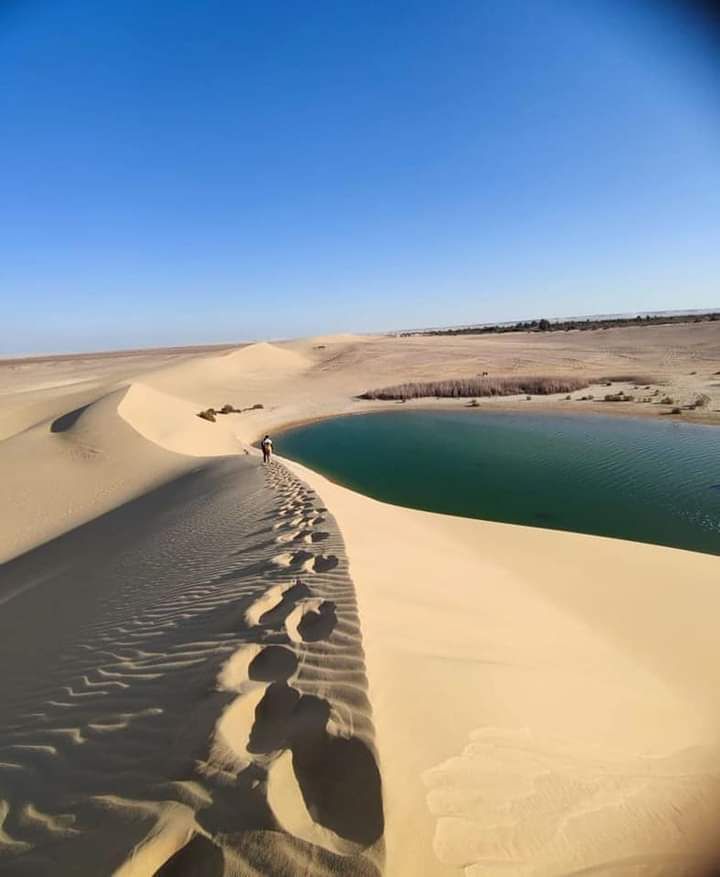 Север Египта: Каир, Гиза, Александрия, Алфаюм, белая и черная пустыни (5/51)